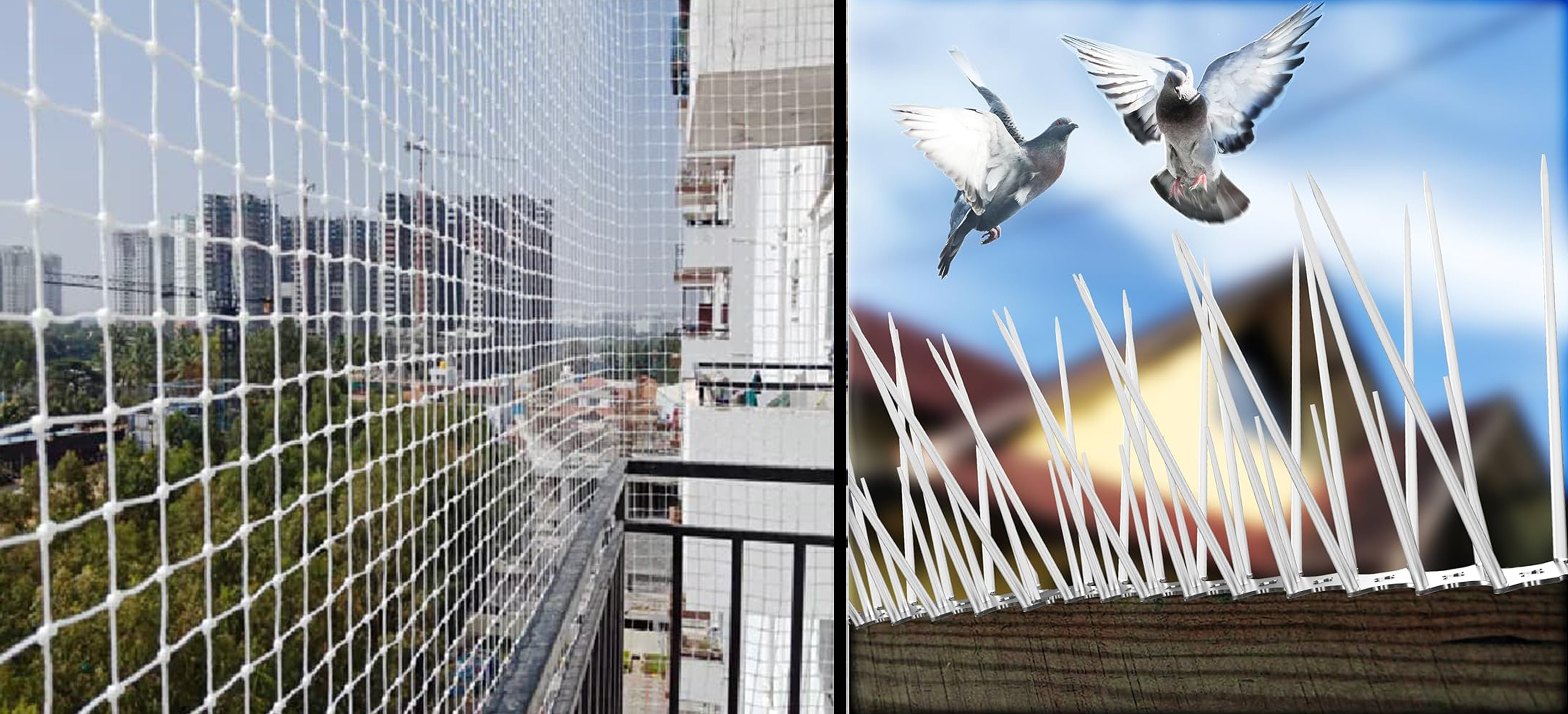 Bird Nets & Bird Spikes